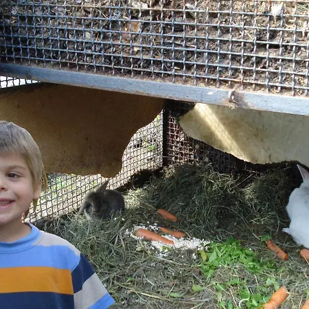 Asti Апартаменты Граведона