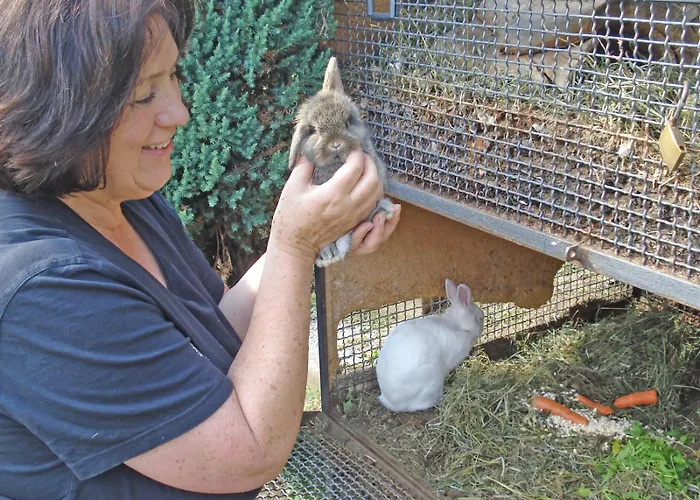 Asti Apartmán Gravedona