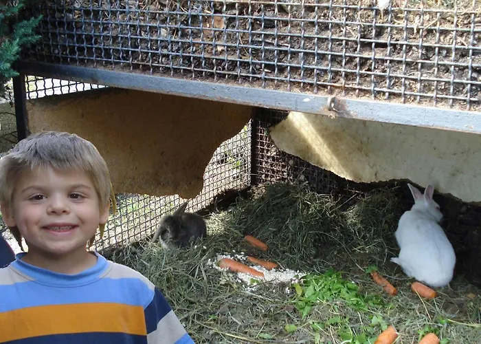 Asti Апартаменты Граведона